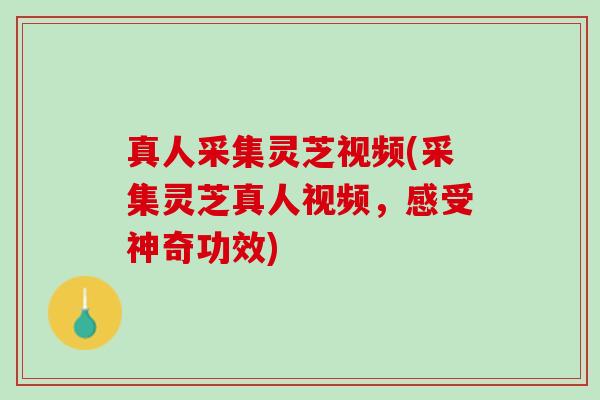 真人采集灵芝视频(采集灵芝真人视频，感受神奇功效)