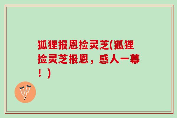 狐狸报恩捡灵芝(狐狸捡灵芝报恩,感人一幕!) 狐狸报恩捡灵芝(狐狸捡灵芝报恩,感人一幕!)