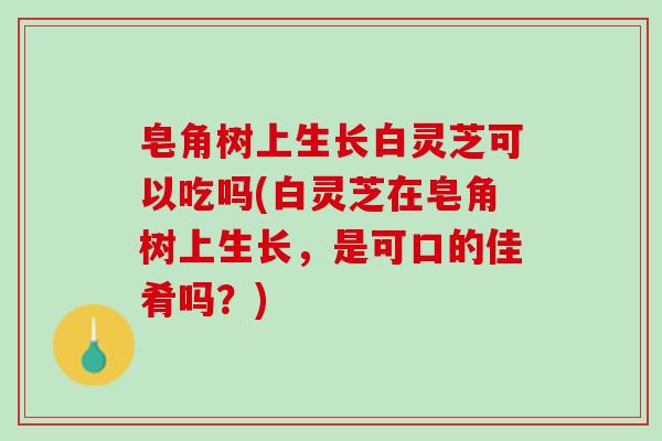 皂角树上生长白灵芝可以吃吗(白灵芝在皂角树上生长，是可口的佳肴吗？)