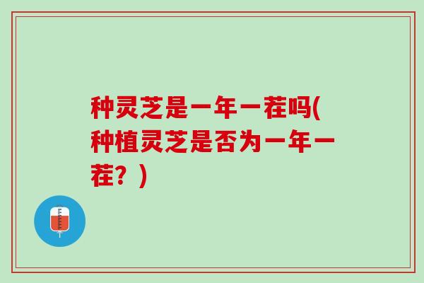 种灵芝是一年一茬吗(种植灵芝是否为一年一茬?) 种灵芝是一年一茬吗(种植灵芝是否为一年一茬?)