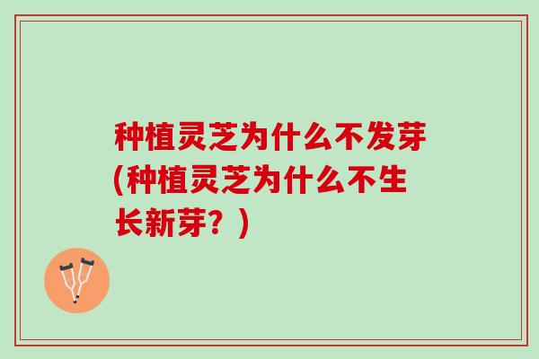 种植灵芝为什么不发芽(种植灵芝为什么不生长新芽？)
