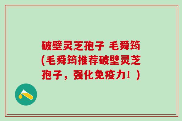 破壁灵芝孢子 毛舜筠(毛舜筠推荐破壁灵芝孢子，强化免疫力！)