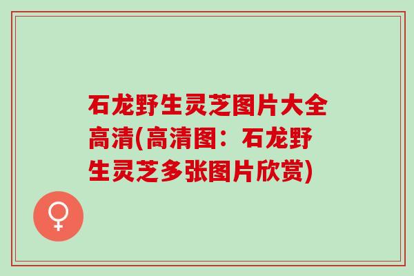 石龙野生灵芝图片大全高清(高清图：石龙野生灵芝多张图片欣赏)