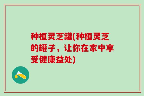 种植灵芝罐(种植灵芝的罐子，让你在家中享受健康益处)