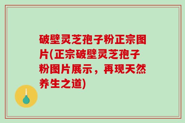 破壁灵芝孢子粉正宗图片(正宗破壁灵芝孢子粉图片展示，再现天然养生之道)