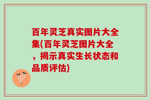 百年灵芝真实图片大全集(百年灵芝图片大全,揭示真实生长状态和品质评估) 百年灵芝真实图片大全集(百年灵芝图片大全,揭示真实生长状态和品质评估)