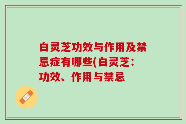 白灵芝功效与作用及禁忌症有哪些(白灵芝：功效、作用与禁忌