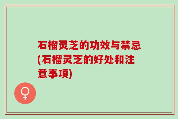 石榴灵芝的功效与禁忌(石榴灵芝的好处和注意事项)
