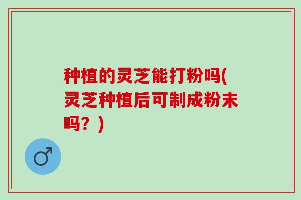 种植的灵芝能打粉吗(灵芝种植后可制成粉末吗？)