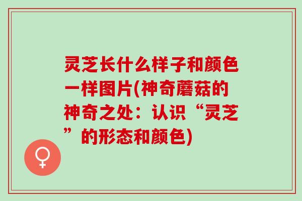 灵芝长什么样子和颜色一样图片(神奇蘑菇的神奇之处：认识“灵芝”的形态和颜色)