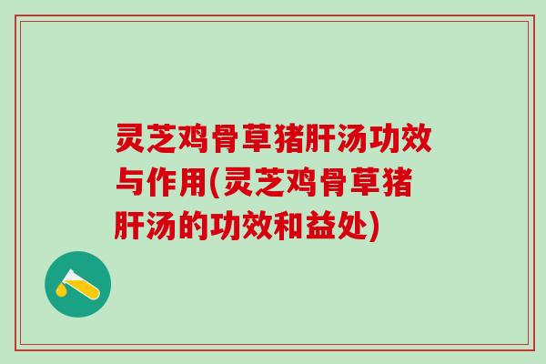 灵芝鸡骨草猪肝汤功效与作用(灵芝鸡骨草猪肝汤的功效和益处)