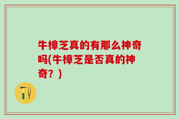 牛樟芝真的有那么神奇吗(牛樟芝是否真的神奇？)