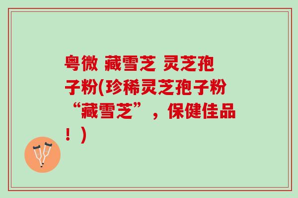 粤微 藏雪芝 灵芝孢子粉(珍稀灵芝孢子粉“藏雪芝”，保健佳品！)