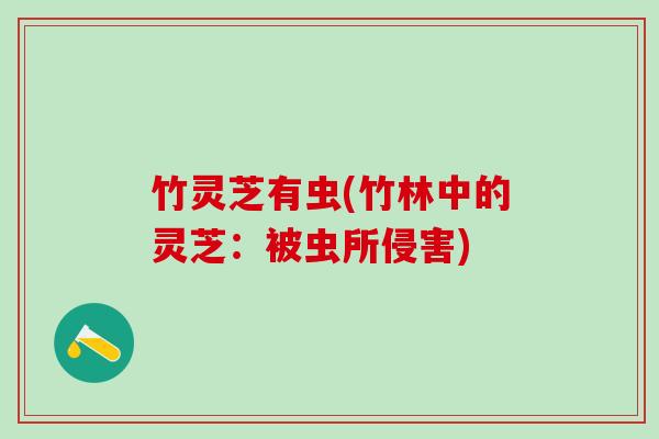 竹灵芝有虫(竹林中的灵芝：被虫所侵害)