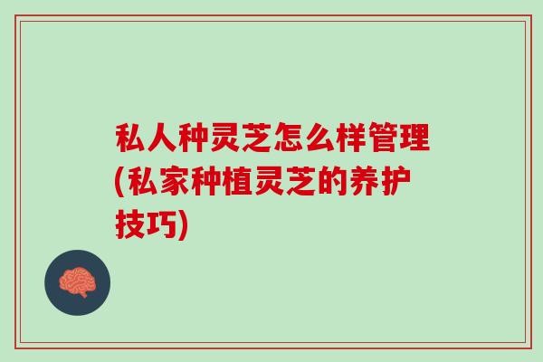 私人种灵芝怎么样管理(私家种植灵芝的养护技巧)