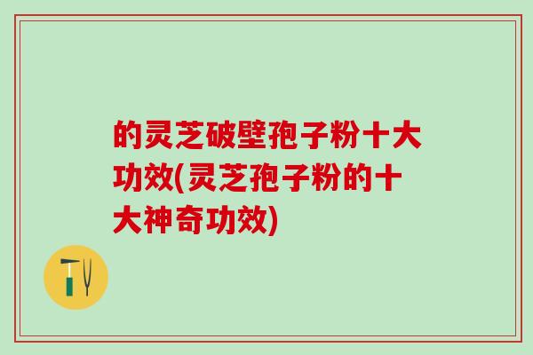 的灵芝破壁孢子粉十大功效(灵芝孢子粉的十大神奇功效)
