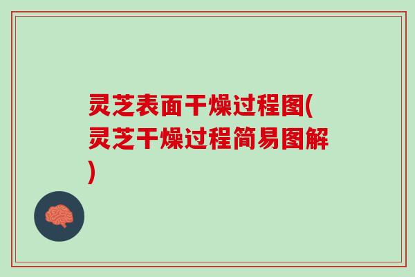 灵芝表面干燥过程图(灵芝干燥过程简易图解)