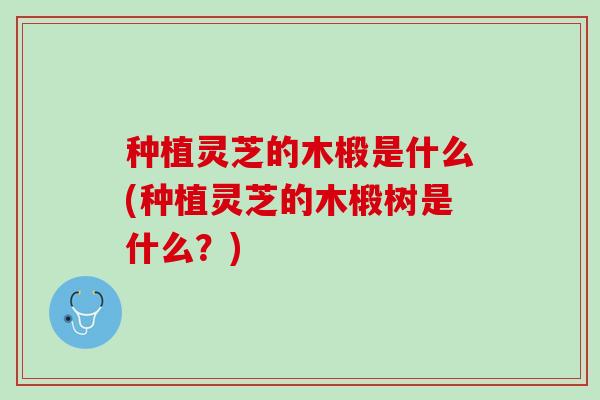 种植灵芝的木椴是什么(种植灵芝的木椴树是什么？)