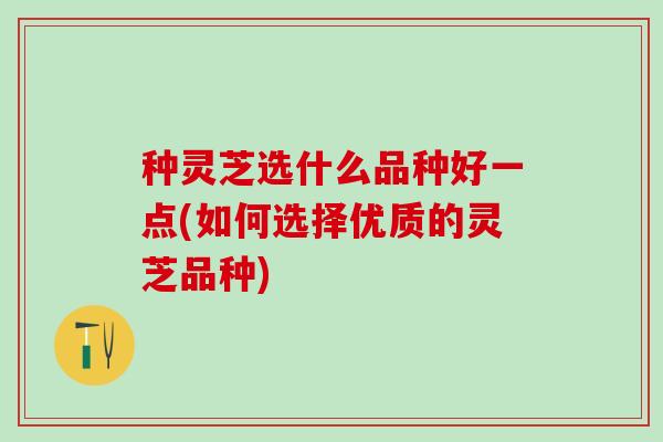 种灵芝选什么品种好一点(如何选择优质的灵芝品种)