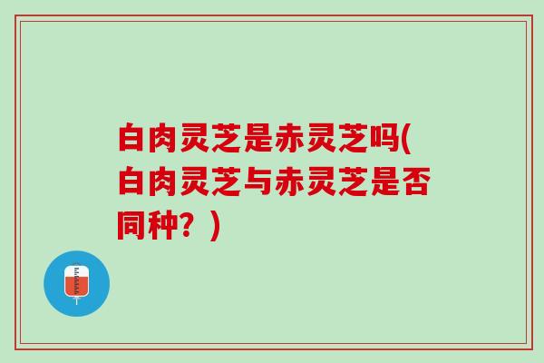 白肉灵芝是赤灵芝吗(白肉灵芝与赤灵芝是否同种？)