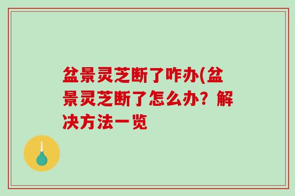 盆景灵芝断了咋办(盆景灵芝断了怎么办？解决方法一览