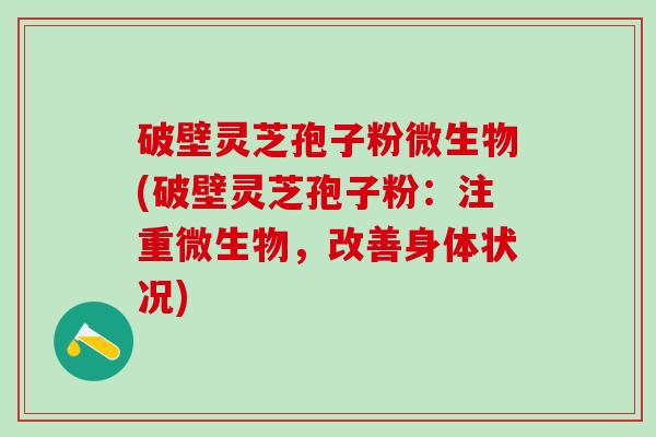 破壁灵芝孢子粉微生物(破壁灵芝孢子粉:注重微生物,改善身体状况) 破壁灵芝孢子粉微生物(破壁灵芝孢子粉:注重微生物,改善身体状况)