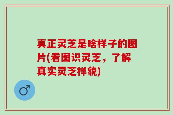 真正灵芝是啥样子的图片(看图识灵芝，了解真实灵芝样貌)