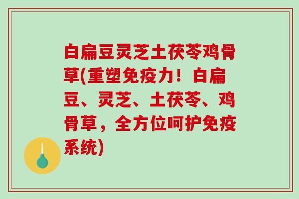 白扁豆灵芝土茯苓鸡骨草(重塑免疫力！白扁豆、灵芝、土茯苓、鸡骨草，全方位呵护免疫系统)