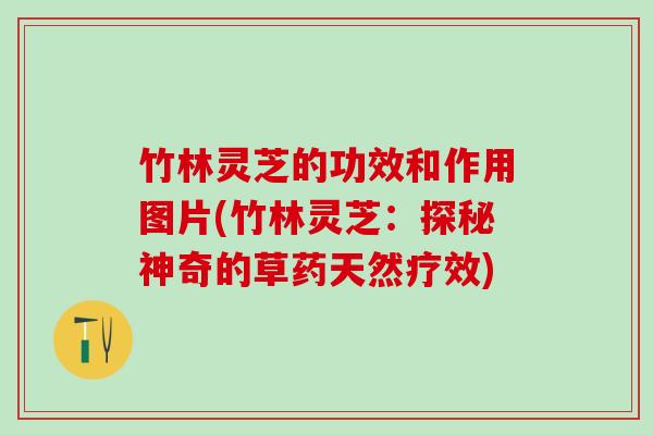 竹林灵芝的功效和作用图片(竹林灵芝:探秘神奇的草药天然疗效) 竹林灵芝的功效和作用图片(竹林灵芝:探秘神奇的草药天然疗效)