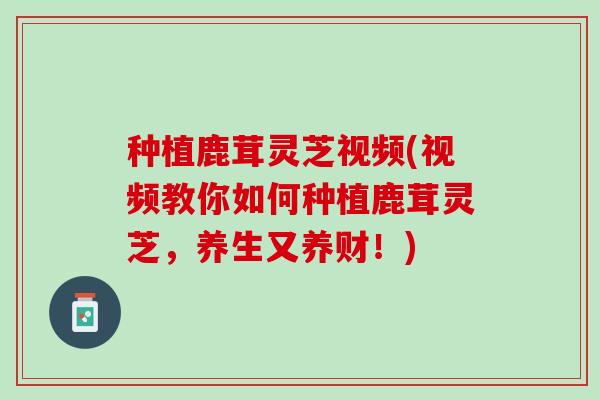 种植鹿茸灵芝视频(视频教你如何种植鹿茸灵芝，养生又养财！)