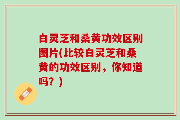白灵芝和桑黄功效区别图片(比较白灵芝和桑黄的功效区别,你知道吗?) 白灵芝和桑黄功效区别图片(比较白灵芝和桑黄的功效区别,你知道吗?)