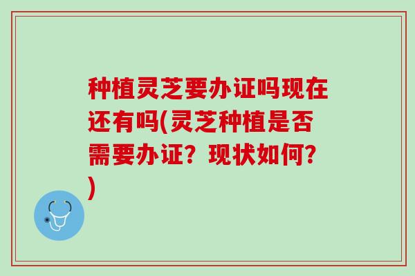 种植灵芝要办证吗现在还有吗(灵芝种植是否需要办证？现状如何？)