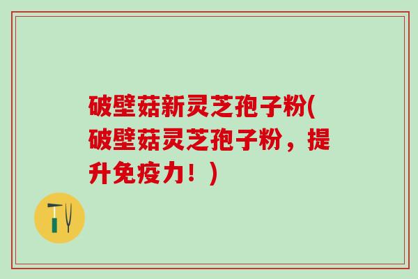 破壁菇新灵芝孢子粉(破壁菇灵芝孢子粉，提升免疫力！)
