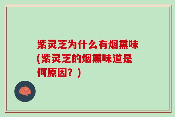 紫灵芝为什么有烟熏味(紫灵芝的烟熏味道是何原因？)