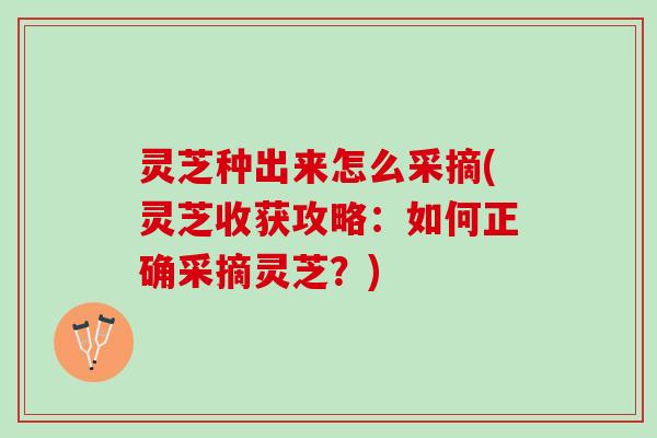 灵芝种出来怎么采摘(灵芝收获攻略：如何正确采摘灵芝？)