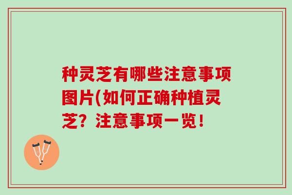 种灵芝有哪些注意事项图片(如何正确种植灵芝？注意事项一览！