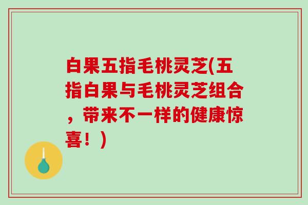 白果五指毛桃灵芝(五指白果与毛桃灵芝组合,带来不一样的健康惊喜!) 白果五指毛桃灵芝(五指白果与毛桃灵芝组合,带来不一样的健康惊喜!)