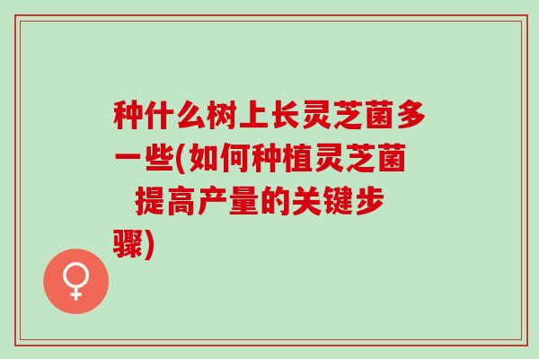 种什么树上长灵芝菌多一些(如何种植灵芝菌  提高产量的关键步骤)