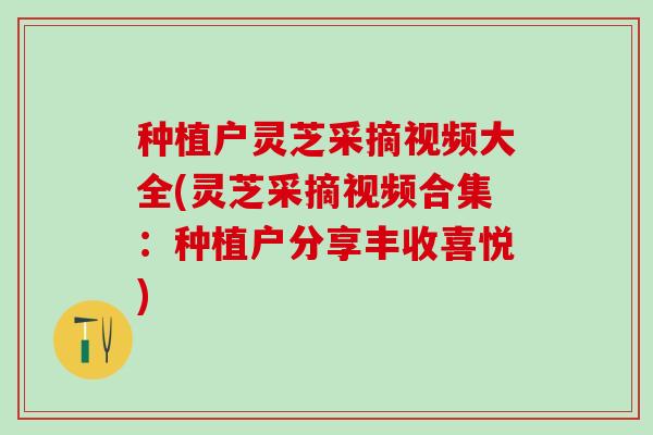 种植户灵芝采摘视频大全(灵芝采摘视频合集：种植户分享丰收喜悦)