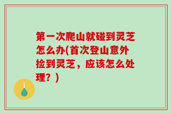 第一次爬山就碰到灵芝怎么办(首次登山意外捡到灵芝，应该怎么处理？)
