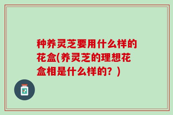 种养灵芝要用什么样的花盒(养灵芝的理想花盒相是什么样的？)