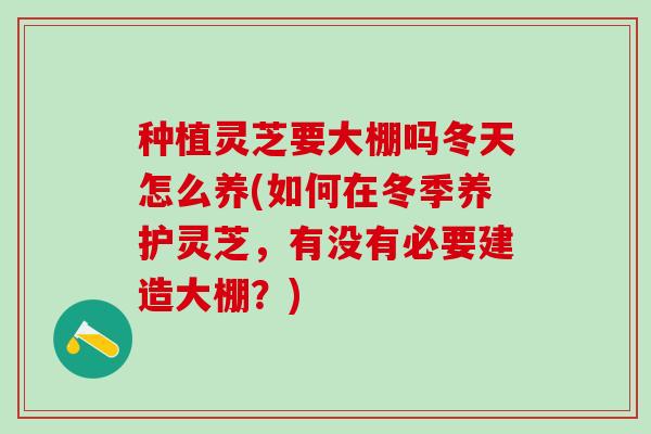 种植灵芝要大棚吗冬天怎么养(如何在冬季养护灵芝，有没有必要建造大棚？)