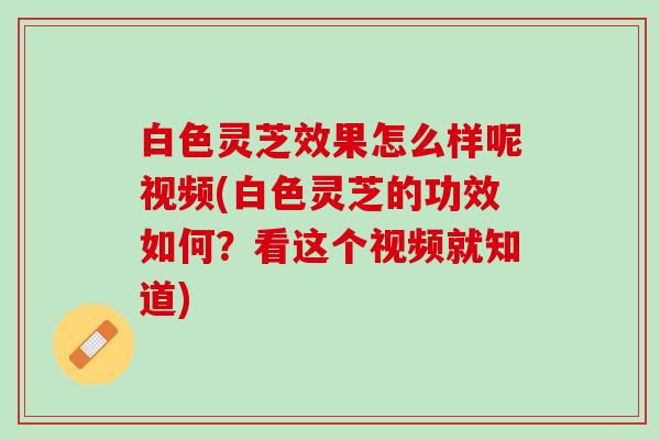 白色灵芝效果怎么样呢视频(白色灵芝的功效如何？看这个视频就知道)