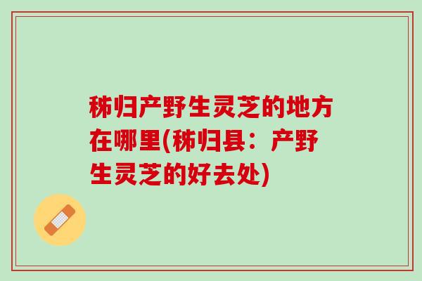 秭归产野生灵芝的地方在哪里(秭归县：产野生灵芝的好去处)