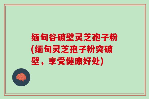 缅甸谷破壁灵芝孢子粉(缅甸灵芝孢子粉突破壁，享受健康好处)