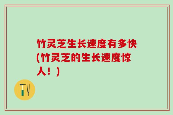 竹灵芝生长速度有多快(竹灵芝的生长速度惊人！)