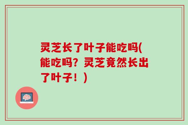 灵芝长了叶子能吃吗(能吃吗？灵芝竟然长出了叶子！)