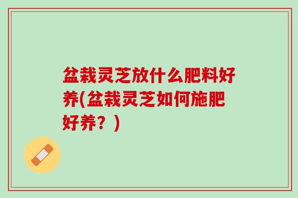 盆栽灵芝放什么肥料好养(盆栽灵芝如何施肥好养？)