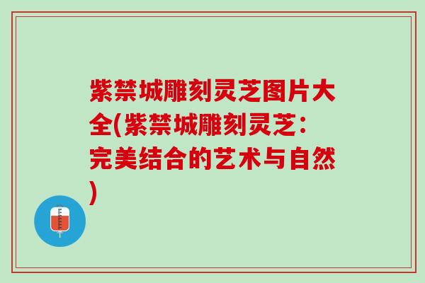 紫禁城雕刻灵芝图片大全(紫禁城雕刻灵芝:完美结合的艺术与自然) 紫禁城雕刻灵芝图片大全(紫禁城雕刻灵芝:完美结合的艺术与自然)
