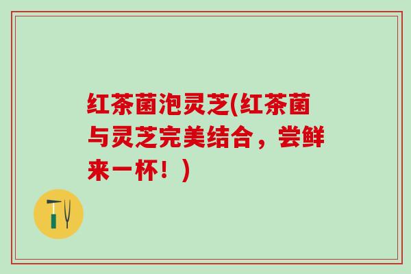 红茶菌泡灵芝(红茶菌与灵芝完美结合，尝鲜来一杯！)